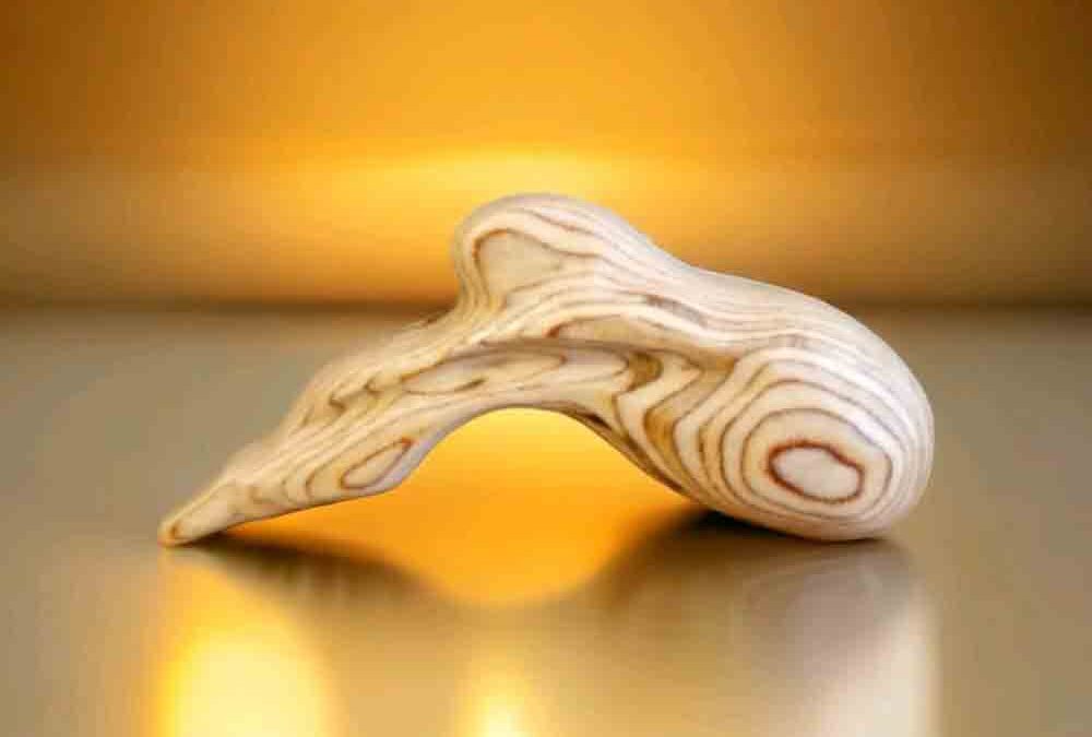 DildonischeKunst No. 001